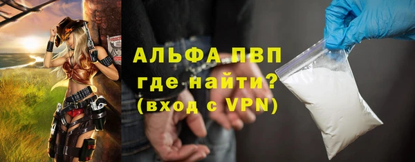 дмт Бородино