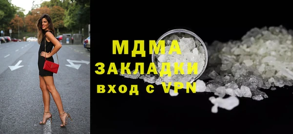дмт Бородино