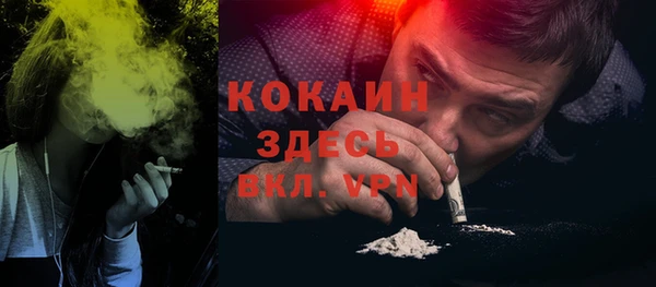 дмт Бородино