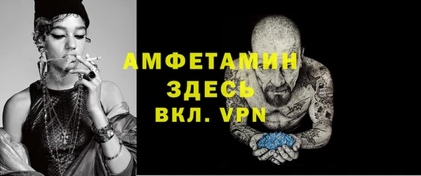твердый Снежногорск