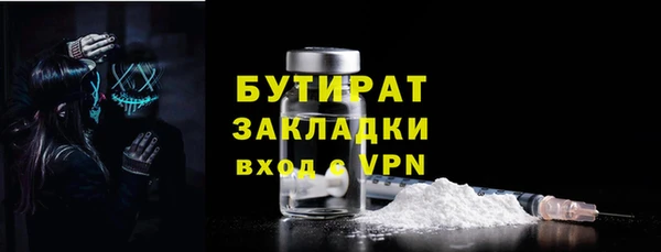 дмт Бородино