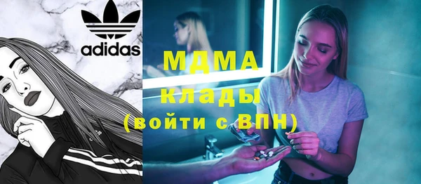 дмт Бородино