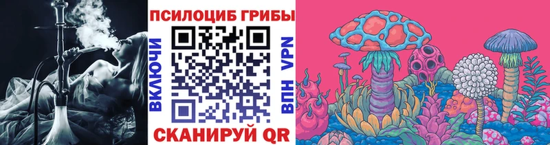 где найти Старица Галлюциногенные грибы мицелий